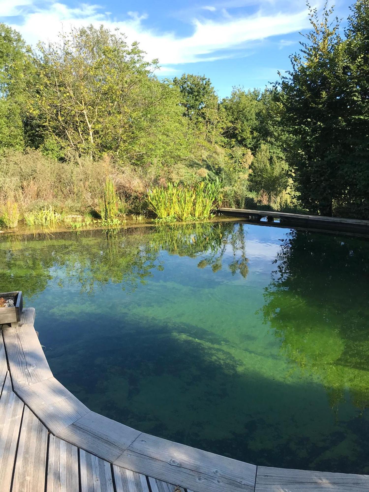 Ecolieu Le Chant Du Temps Bed and Breakfast Saint-Usuge Exteriör bild